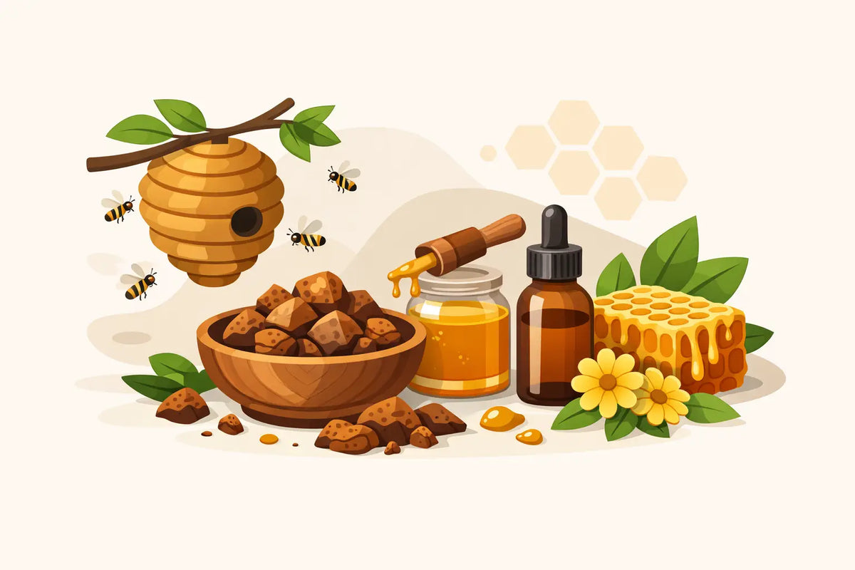 ما هو العكبر (البروبوليس)؟ كل ما تحتاج معرفته
