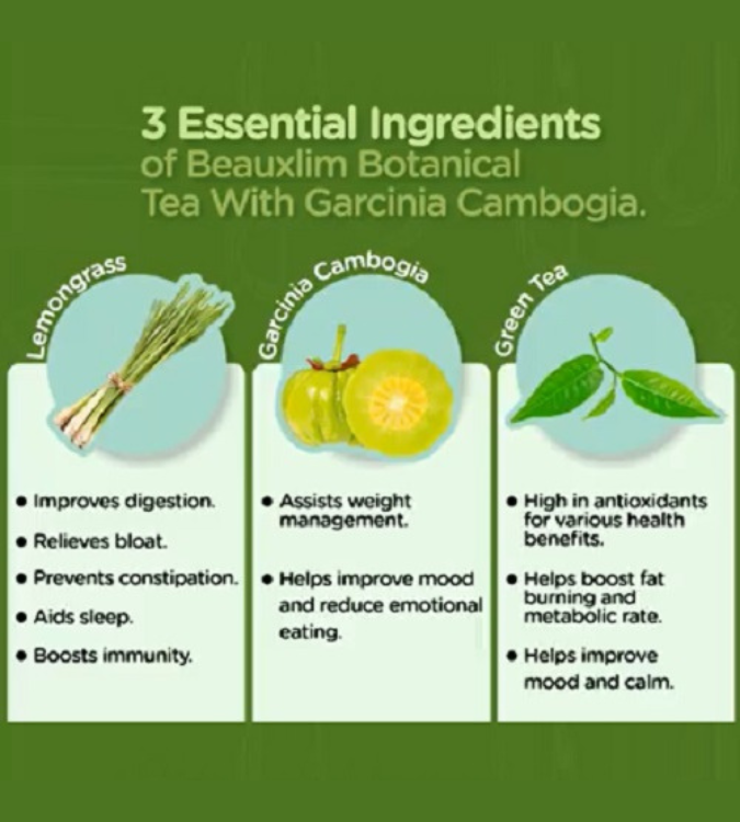 Bioxlim Herbal Tea 15 Sachets