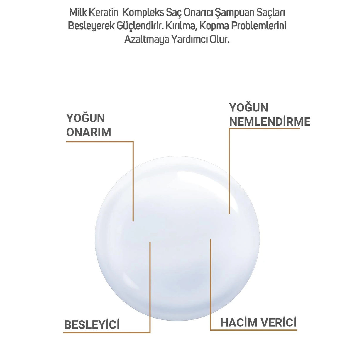 شامبو Dermobella Milk Keratin Complex لإصلاح الشعر - 300 مل - صورة 4