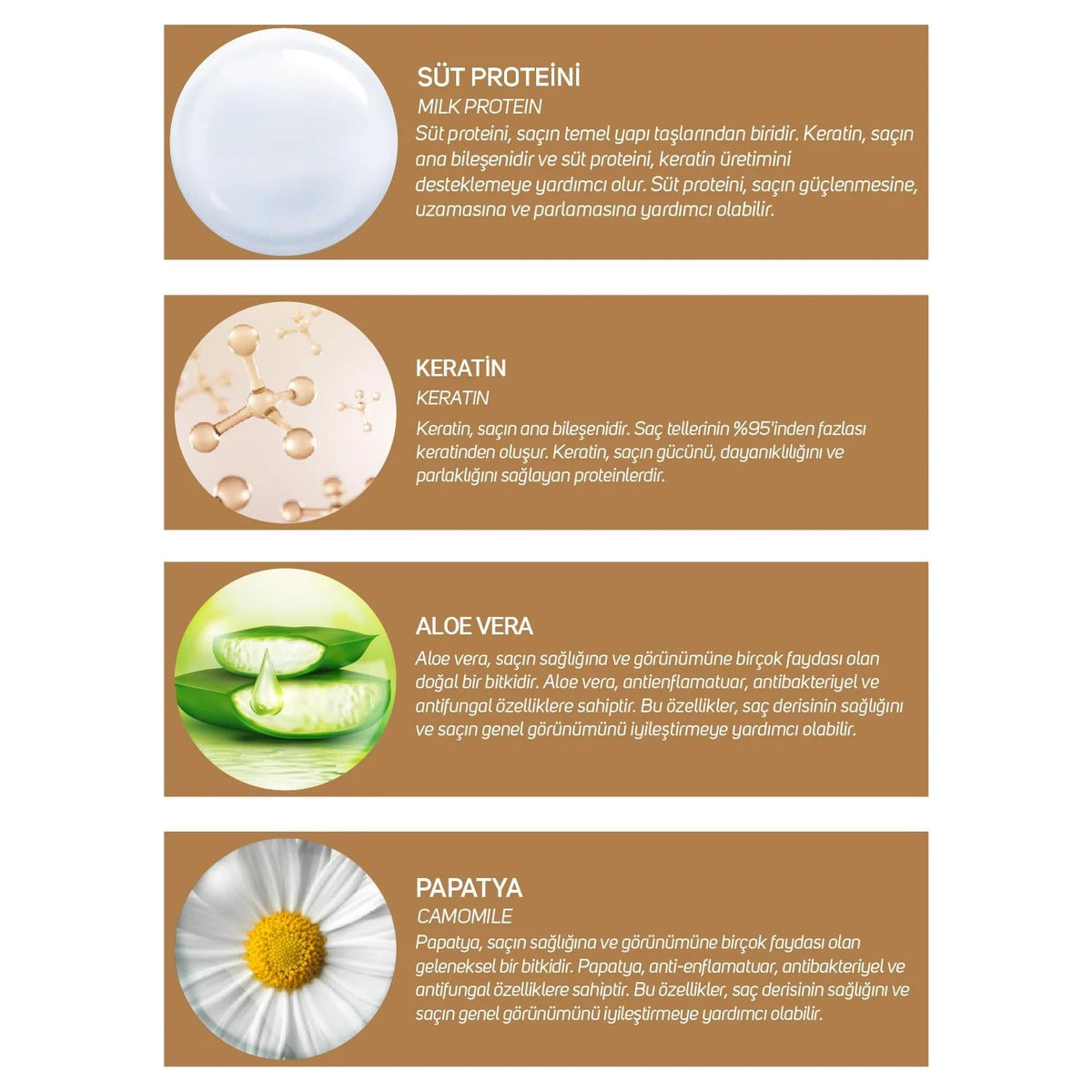 شامبو Dermobella Milk Keratin Complex لإصلاح الشعر - 300 مل - صورة 3