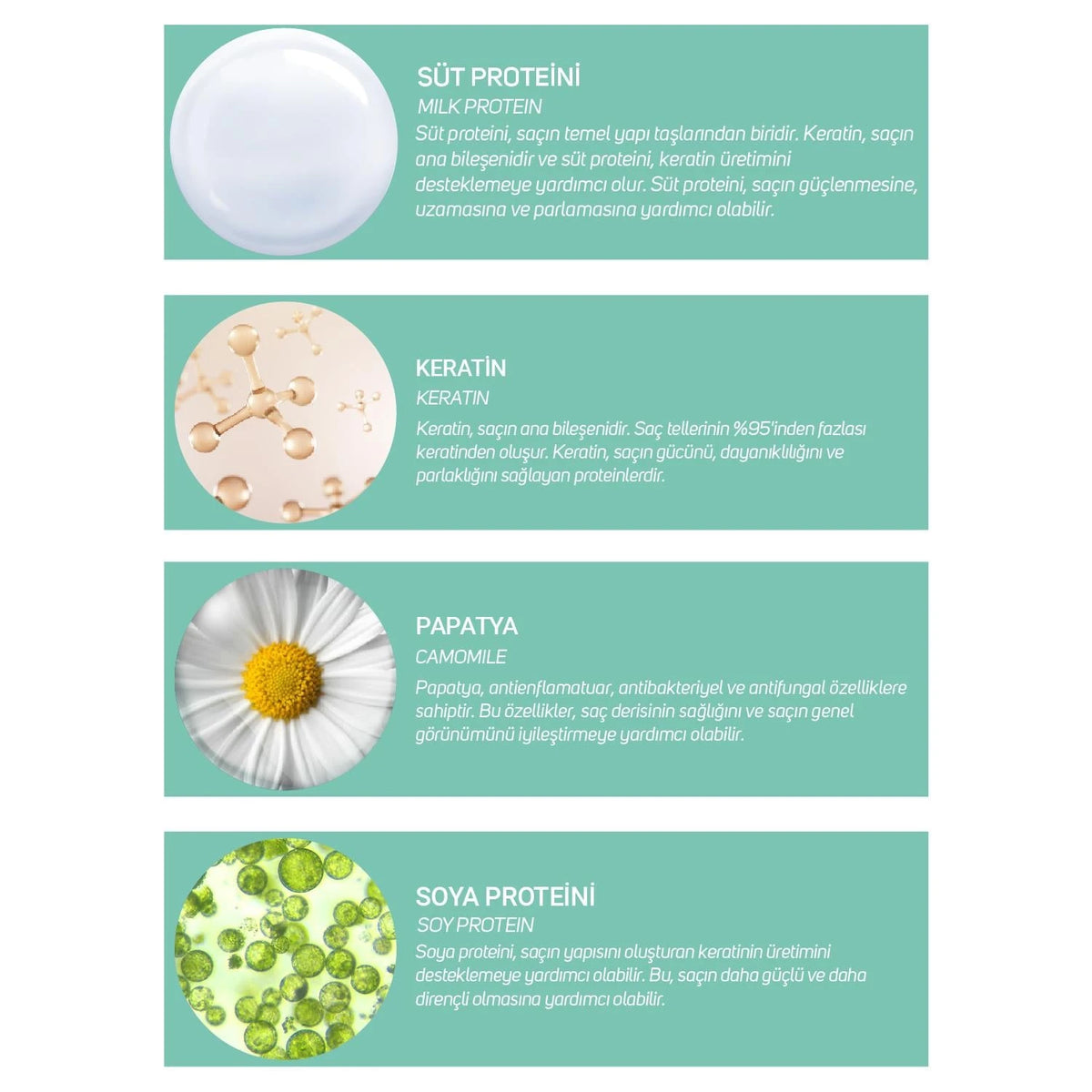 بلسم Dermobella Milk Keratin Complex لإصلاح الشعر - 200 مل - صورة 3