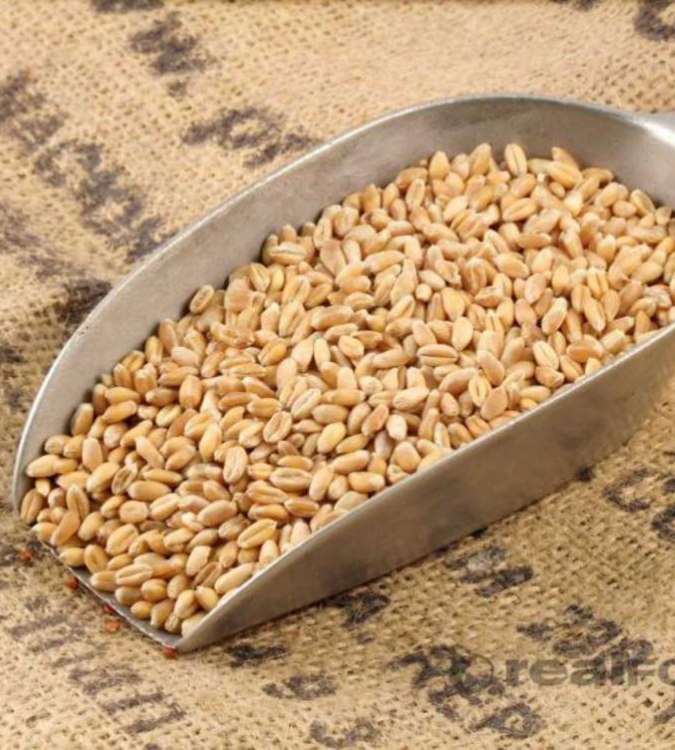 Organic Asure Wheat 750g